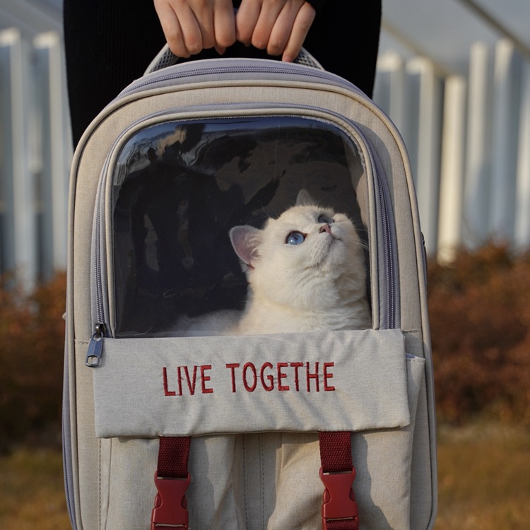 猫包夏天透气出行猫背包猫咪外出携带双肩书包狗装猫的宠物包猫袋