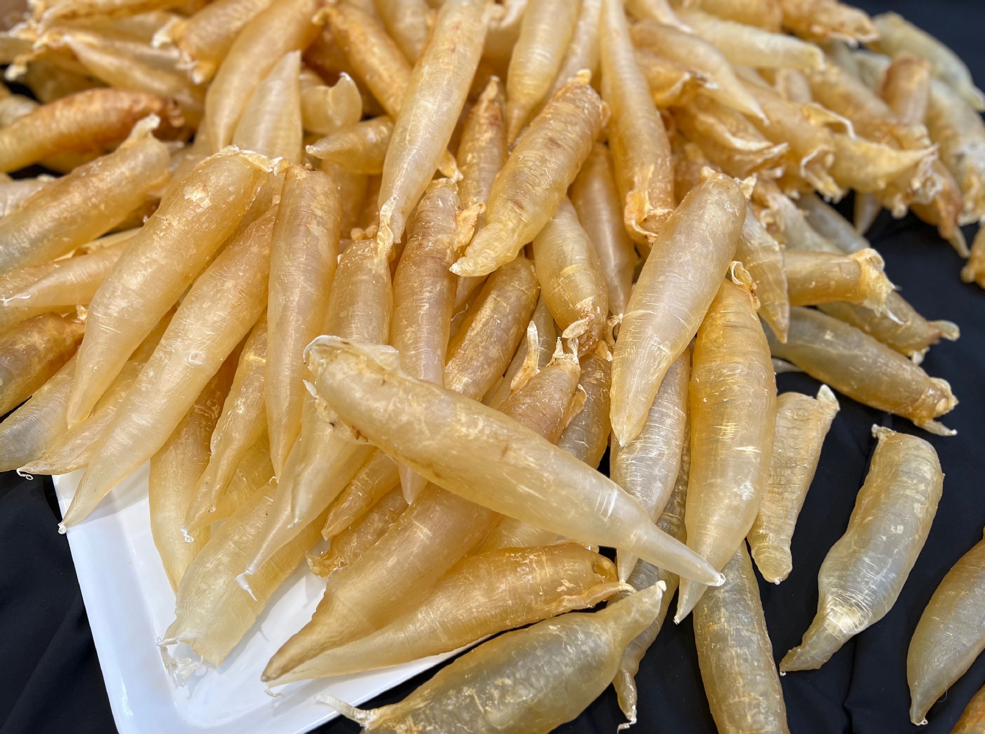 微信图片_20230927232753