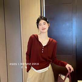 秋季新款毛衣假两件连帽拼色内搭针织衫女设计感气质百搭显瘦上衣