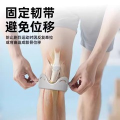 护膝髌骨带男女跑步健身专业运动膝盖护具透气防滑可调节硅胶护膝