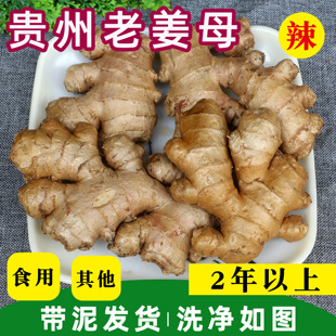 Guizhou Farm-Grown Two-Year-Old Ginger, Spicy and Full-Flavored for Cooking, Soup Seasoning, Postpartum Ginger