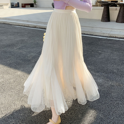 Women's two-sided mesh skirt half skirt autumn new high-waist covers the hip pleated A-line large swing fish tail long dress