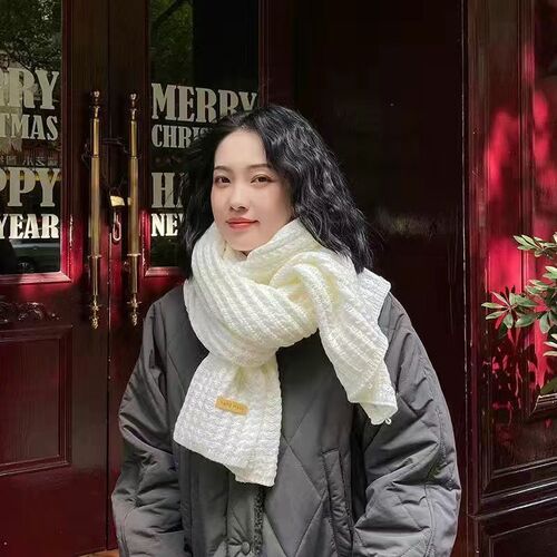 Couple's Style Korean Style Plush Wool Knitted Scarf, Solid Color, for Autumn and Winter, Thick and Warm, Student-Friendly and Versatile