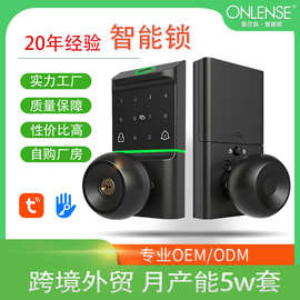 球形指纹密码智能锁跨境亚马逊北美呆锁源头工厂奥尔良涂鸦通通