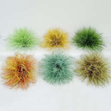 ����Gֲ�ݶ�݅� �҃�ֲ�ﾰ�^�쾰�����������С�ݏ����Ѳݶ�