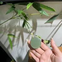 Jingyutang Hetian Jade кулон Qingti виноград без каких-либо дефектов 38/44/10 Чистый и чистый, как озеро