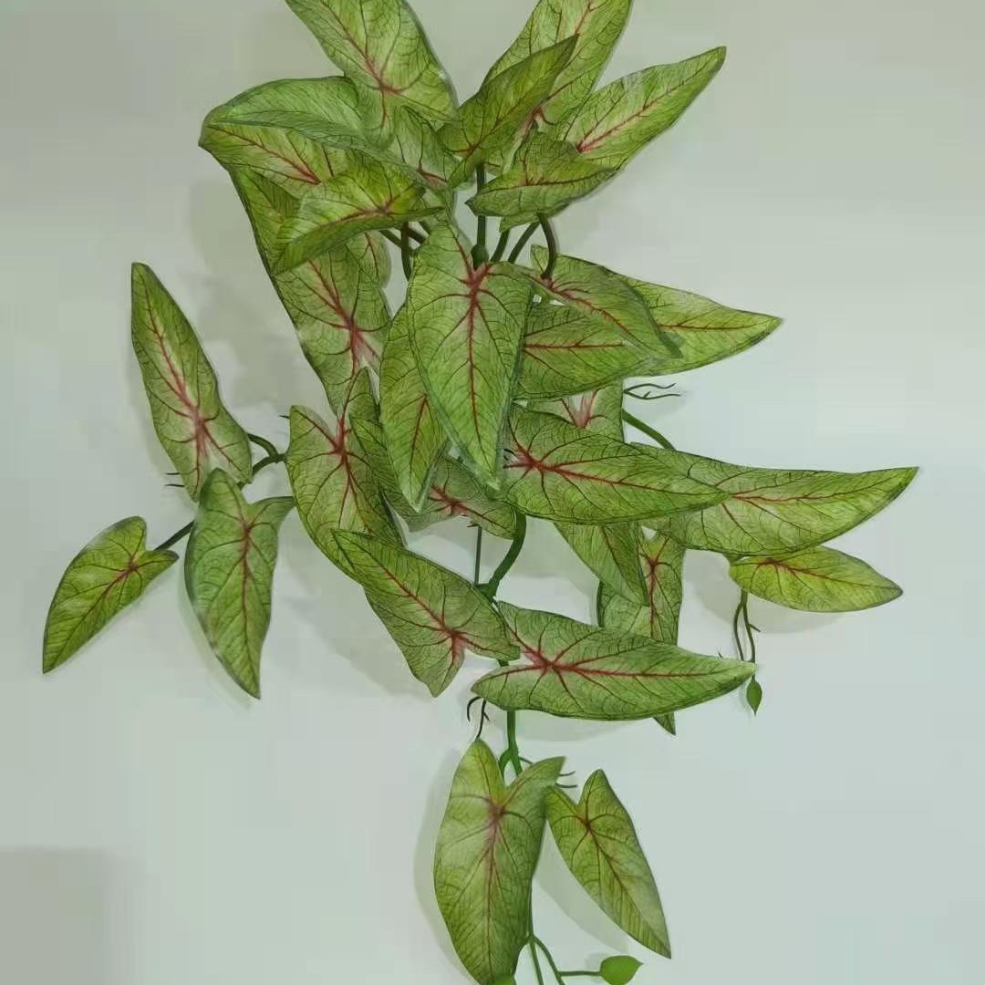29잎 타로 H1