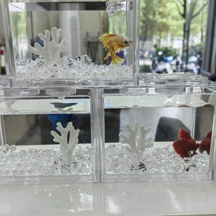 Desktop Betta Fish Suitable for Small Fish Tank with Light, Creative Micro-Landscape, Thickened Desktop Tank, Landscaping Acrylic Building Block Box