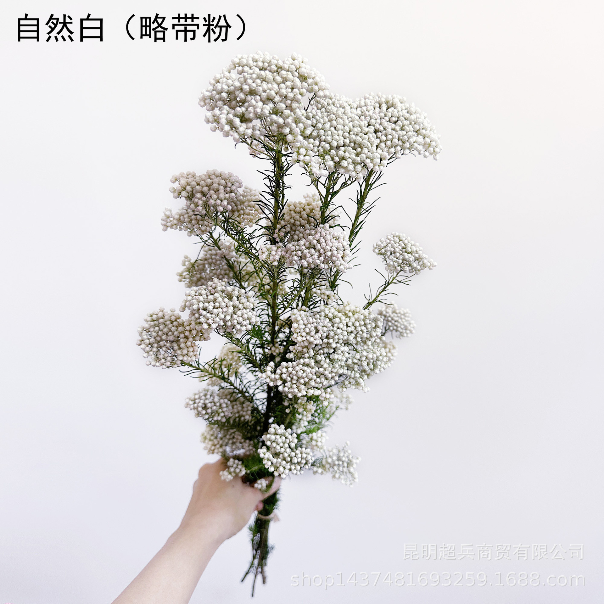 Blanc naturel (légèrement en poudre)