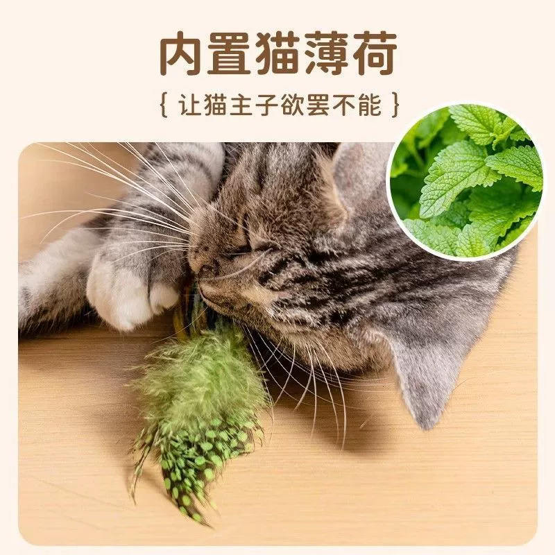 Игрушка, реалистичные эластичные качели, кошка, борьба со скукой