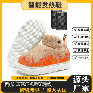 Cross-Border Electric Heating Shoes for Men and Women, Electric Heating Foot Warmers, Heated Charging Foot Warmers, Bedroom Office Outdoor Gods