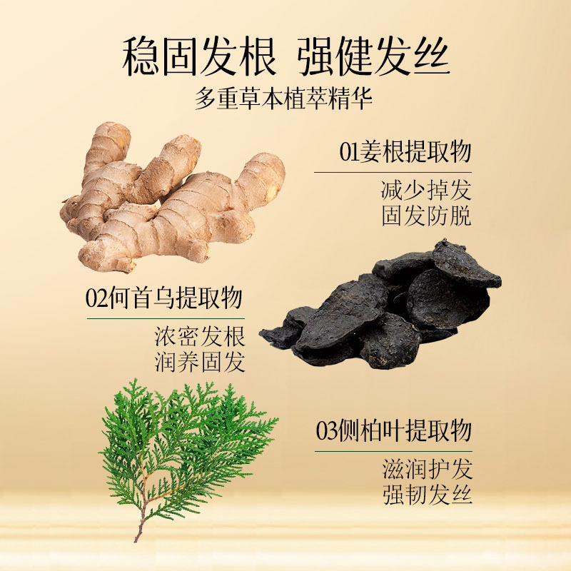 Zhao Benshan respaldó Changyi ecológico anti-deferencia de crecimiento del cabello lateral jengibre champú para el cabello herbal champú para el control del aceite image 5