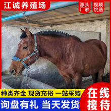 ���wС�R���R�����R���w��ͯС���T���RС�R�x���R���R����С���R