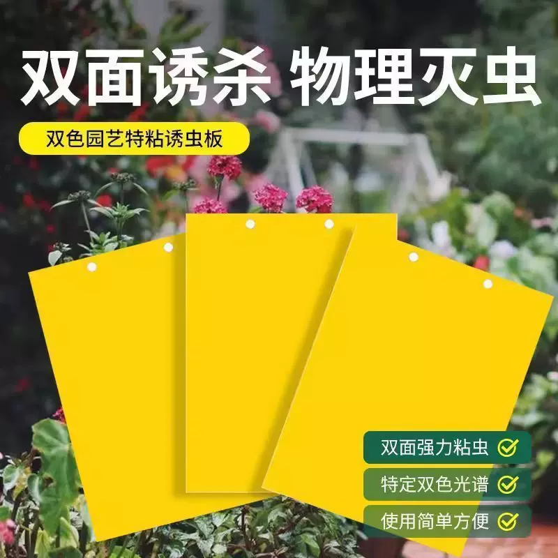 双面粘虫板大棚专用黄板飞果蝇诱捕器诱虫板贴纸农用家用花园果园