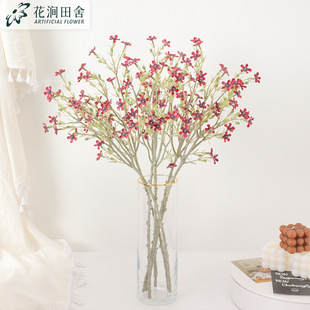 ���滨С�D÷ ��֧÷���͏d�����Ҿӻ�c�廨С�����b�ˇ�[��