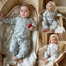 �냺�����B�w��2026�¿���Ů��������a�������ӡ���Ӽ���������