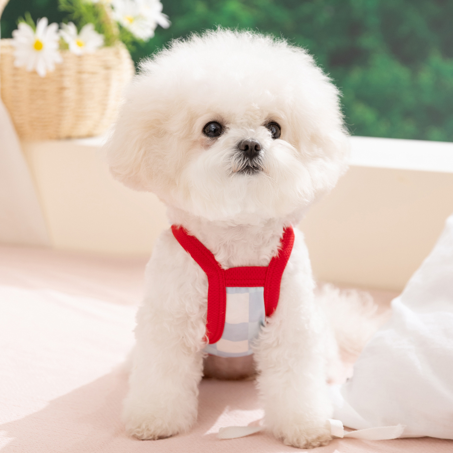 Nuevos dibujos animados transfronterizos frescos cinturones ropa de mascotas chaleco delgado Teddy Bear primavera y verano ropa de perro
