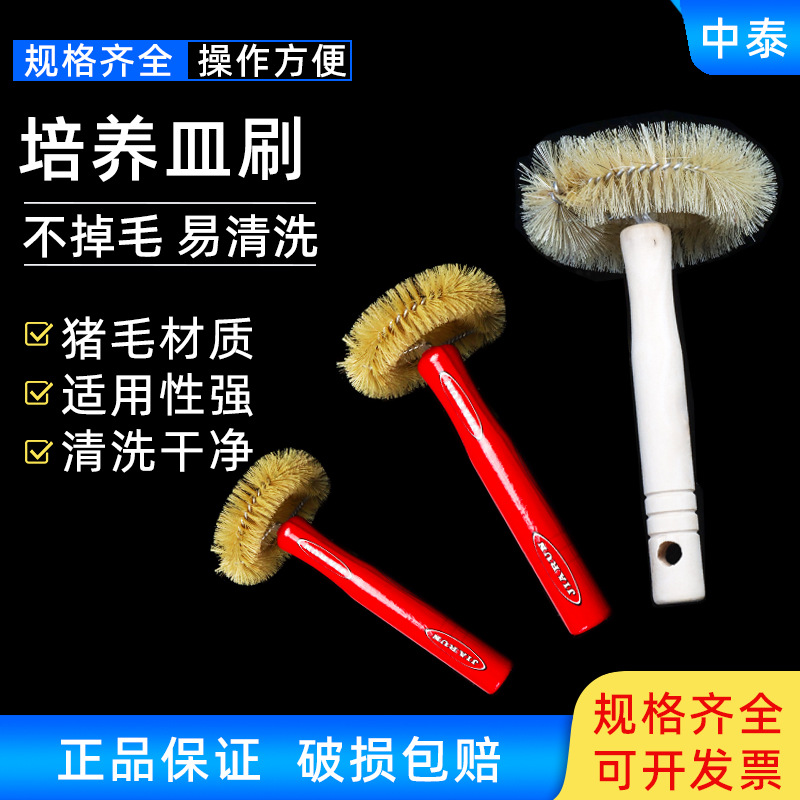 实验耗材 玻璃培养皿刷 平皿刷 猪毛 清洗刷子 大 中 小