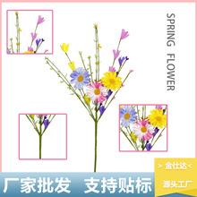 ���Ʒ�����ʾղ�˹���������羳��c�Ҿ��b���С�r�մ��컨��