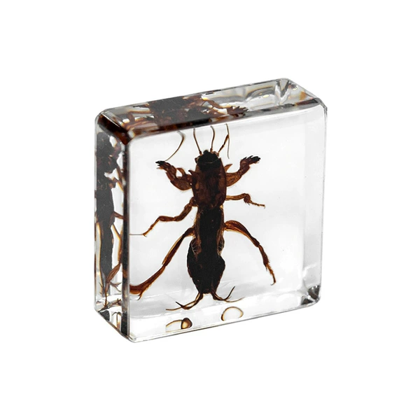 3.8cm small square cricket
