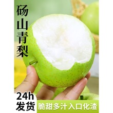 �������rˮ���Xɽ���殔�����]��������ʹ���ѩ�������Ї�