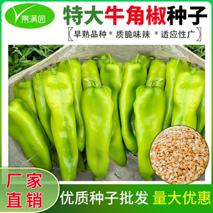 ţ�ǽ��N���ཷ�⽷��ǽ��t�����t�������콷�������N�Ӵ�ȫ