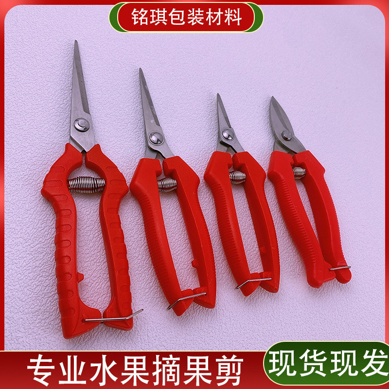 Yangjiang árboles frutales tijeras de corte de ramas de acero inoxidable tijeras de jardinería casera cortar ramas de árboles cortar naranja extraña naranja especial