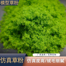 仿真草粉diy手工制作材料沙盘场景装饰绿色草景观苔藓青苔粉草粉