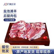 宁夏盐池滩羊后腿肉包羊肉去骨羊腿肉馅臊子羔羊地理标志宁夏特产