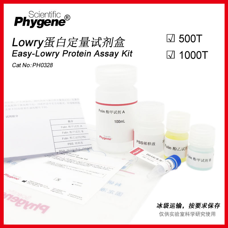 Lowry法蛋白浓度测定试剂盒 蛋白定量 福林酚法 [PH0328 PHYGENE]
