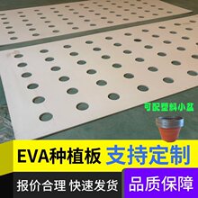 厂家定制eva种植板水稻蔬菜水面栽培定植板耐用温室栽培EVA泡沫板