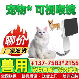 兽用宠物动物光纤喉镜 不锈钢灯泡喉镜动物手术喉镜厂家625