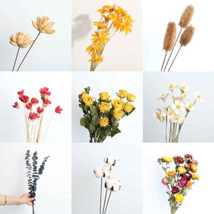 Դ�^�S��ľ�޻��滨����DIY�������ѿ������~�޻��^�ɻ��JȔ���l