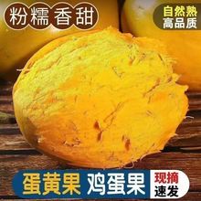 海南鸡蛋果熟果蛋黄果海南热带罕见稀有当季水果新鲜批发鸡蛋黄果