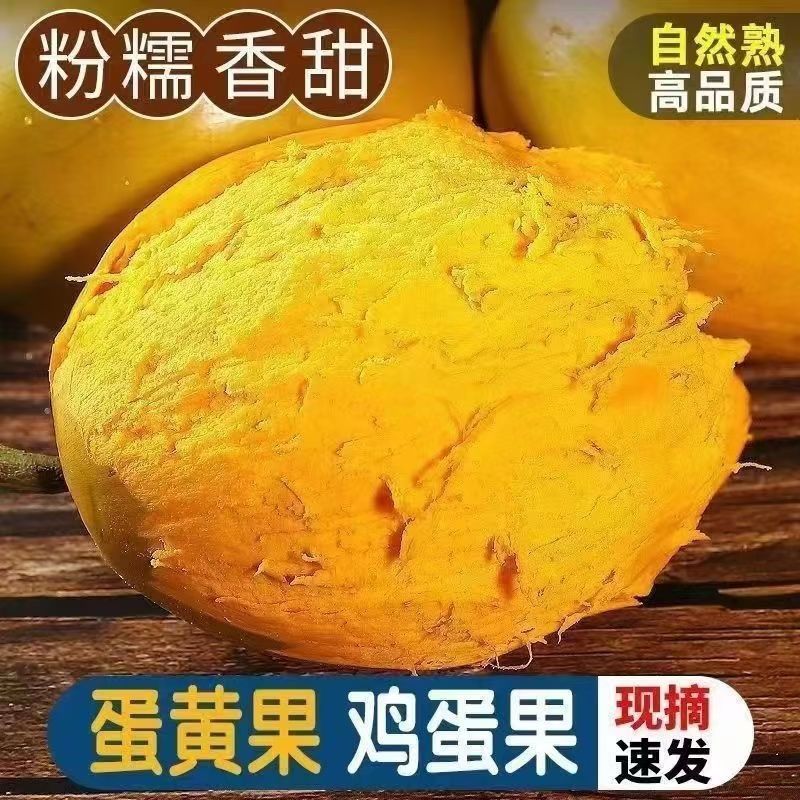 海南鸡蛋果熟果蛋黄果海南热带罕见稀有当季水果新鲜批发鸡蛋黄果