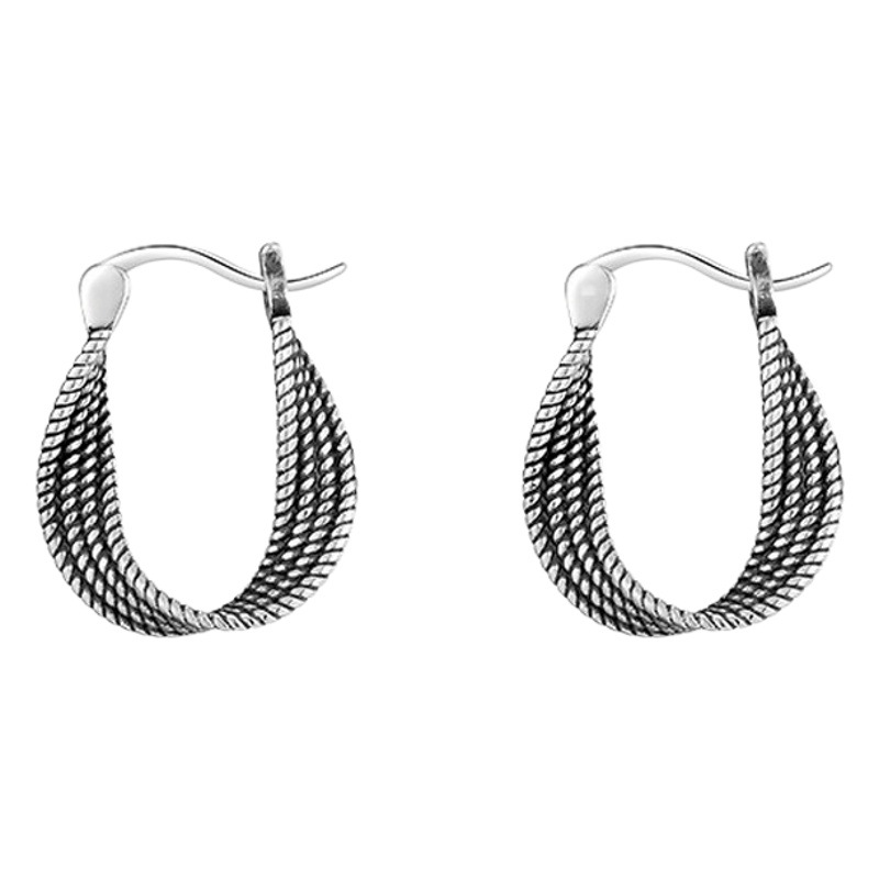 2025 New Personalized Twisted Earrings Women's Cold Trendy Earrings Light Luxury Niche Design Earrings Birthday Gift