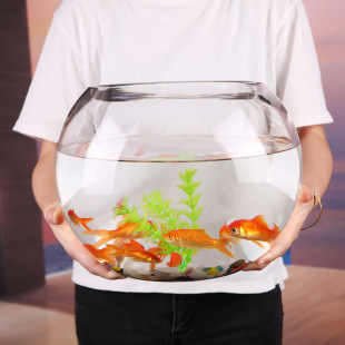 Creative Round Glass Fish Tank Transparent Large Desktop Thickeneded Turtle Tank Goldfish Tank Hydroponic Living Room Feng Shui