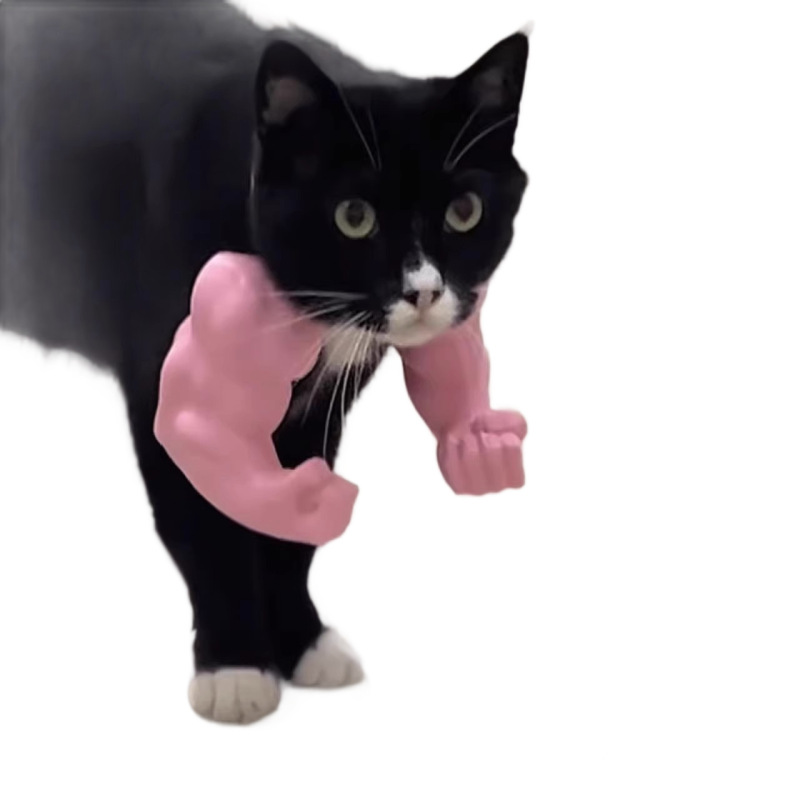 跨境爆款 Cat muscle arm decoration 浩克手臂猫咪肌肉手臂装饰|undefined