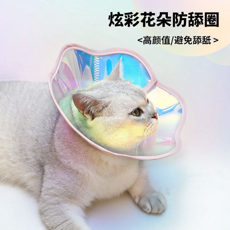 Colorful flowers for pets