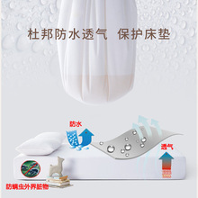 S588防水床笠单件防螨虫床罩隔尿透气床垫保护套天丝防尘1.8m可洗