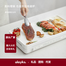 olayks欧莱克原创设计聚嗨盘IH多功能料理锅烤肉锅家用小型电烤盘