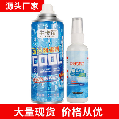 Manufactor summer cool and refreshing fast cooling Spray Military training high temperature Heatstroke Clothing cool and refreshing Sprays 100ml Can OEM