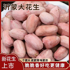 【500克1袋】包邮山东特色五香花生米香酥下酒菜休闲零食超时食品