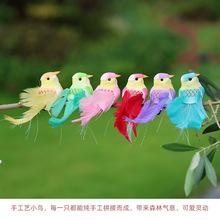 ����С�B��ĭ��ëС�B��ɫ�B��z�B�@ˇ��֦�Ҿ��}�Q�b�ˇƷ