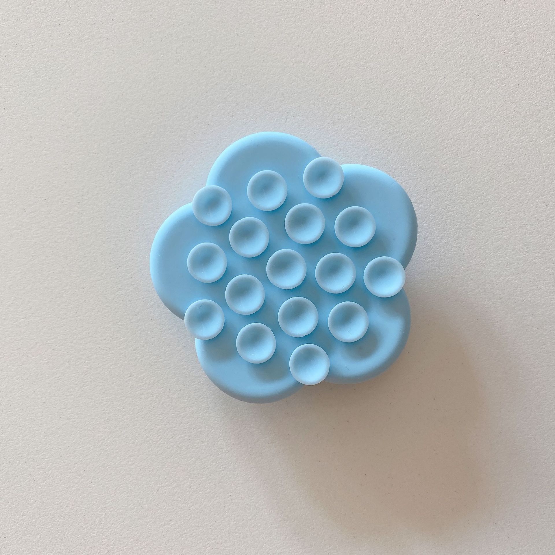 꽃 (뉴 스카이 블루)