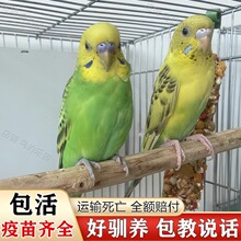 �������H�˻�Ƥ�W�^���B���B�����B��ĸһ�����B�ɽ��fԒ��ֳ�µ�