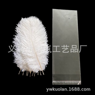��10֧/�����r�Bë25-30cm��ɫ��ë��c�bɶ��������Q�羳���l