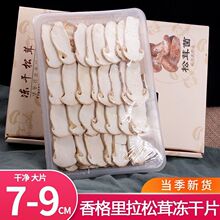 新鲜松茸干片7-9cm云南特产香格里拉松茸菌干货菌菇类松茸干片