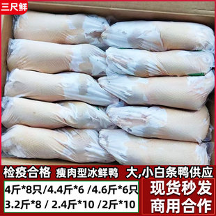 ���r����חl������20��10ֻ���r���ҹ����⿾���}ˮ��ֻ�������l