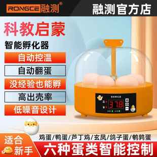 ✅ Egg Incubator Household Rutin Chicken Incubator Small Intelligent Incubator Chicken Parrot Fully Automatic Constant Temperature Incubation